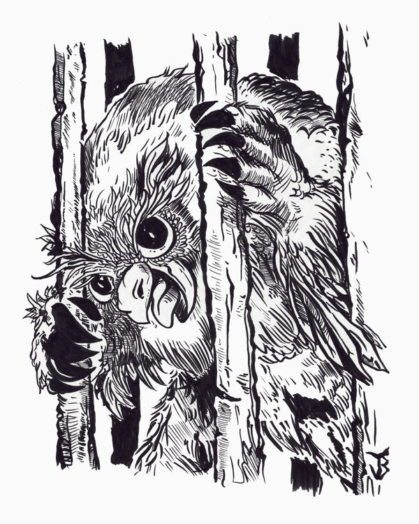 Caged Owlbear (8x10 Print)