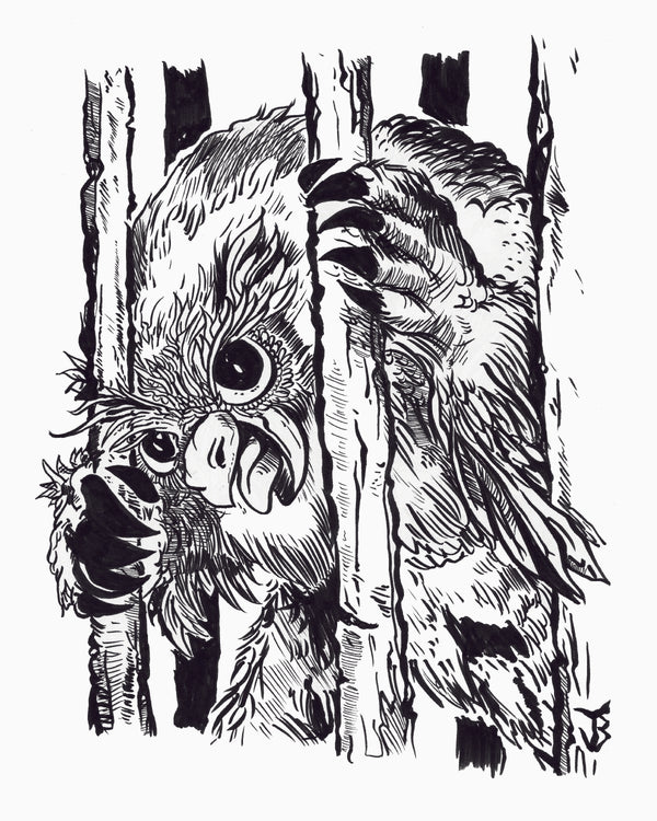 Caged Owlbear 4x6 (Framed Print)